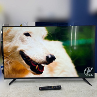 43" (109 см) LED-телевизор DEXP 43FKN1