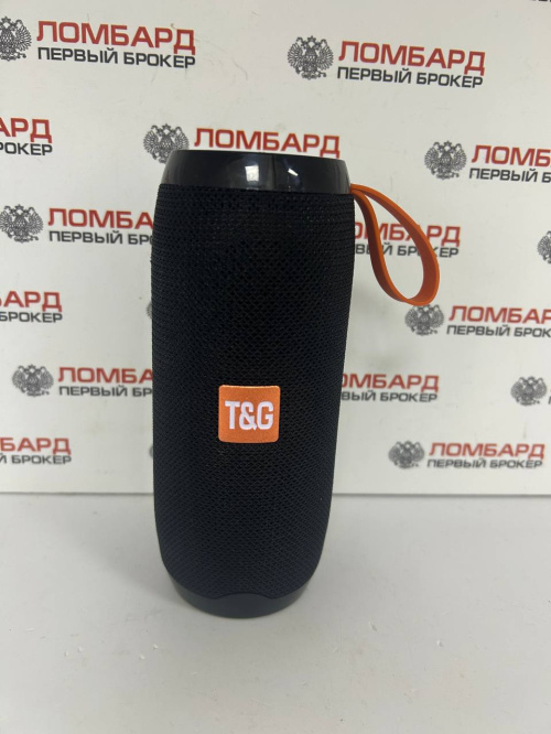 Беспроводная колонка T&G TG-106