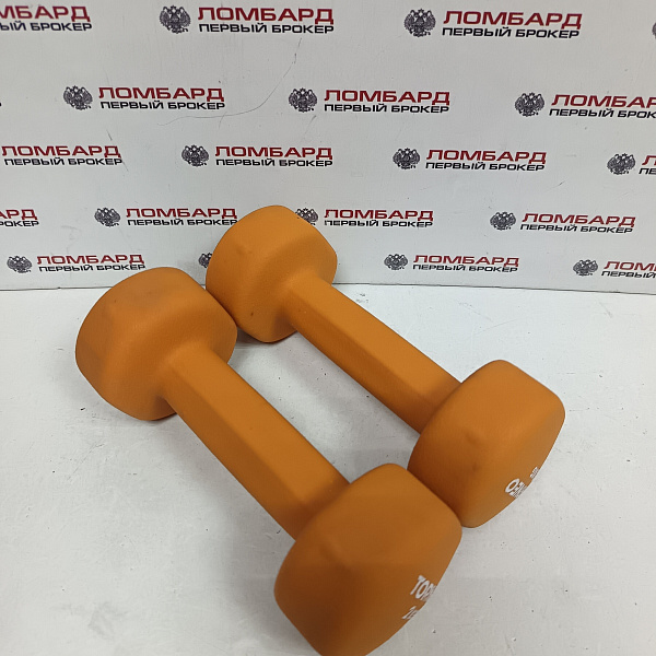  Гантели TORRES PL55012 на 2 кг