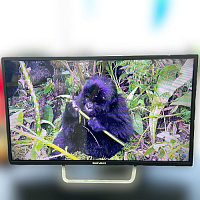 32" Телевизор Shivaki STV-32LED13