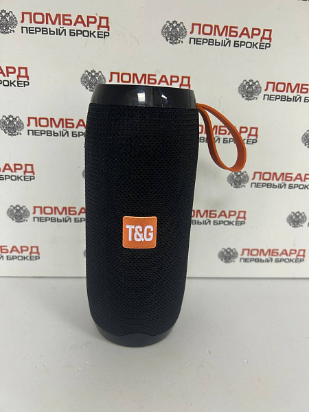 Беспроводная колонка T&G TG-106