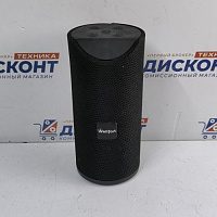 Портативная колонка Wellfort C-BWS03