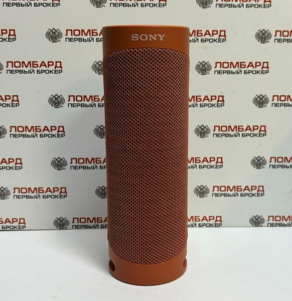 Портативная акустика Sony SRS-XB23